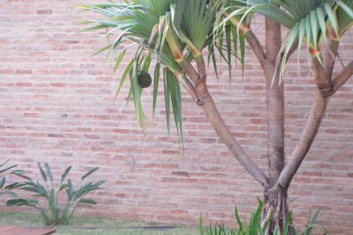 Galeria Hotel