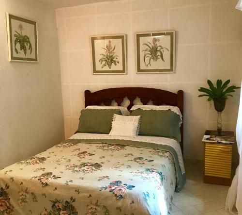 Hostal Pousada Villa Jambo