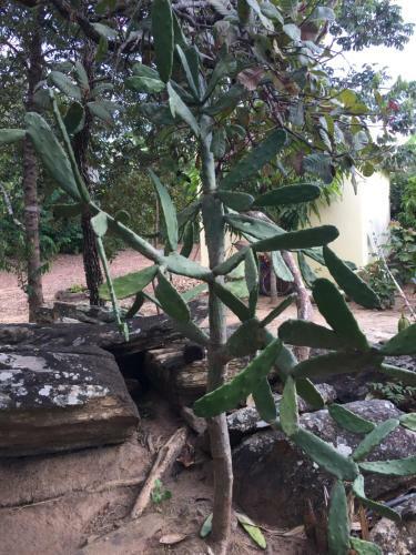 Agroturismo Ch�cara S�o Leopoldo