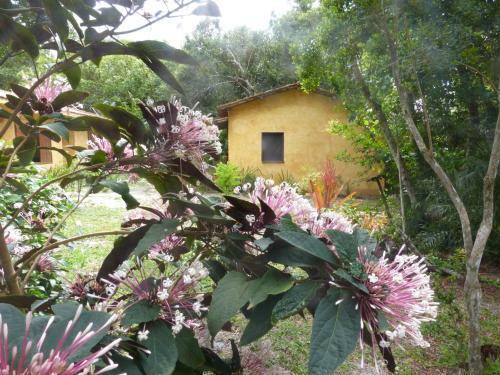 Lodge Chal� Foratini