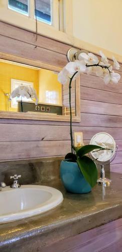 Hostal Pinati Guest House