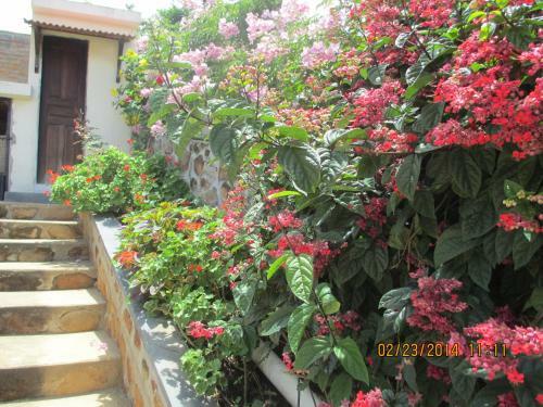 Hostal Pousada Caf� Do Brejo
