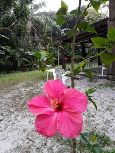 Hostal Recanto Da Kak�