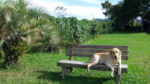 Mirante Da Barra