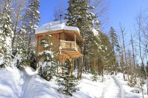 Auberge Et Chalets Du Trappeur