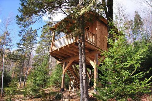 Auberge Et Chalets Du Trappeur