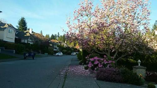 Hostal Vancouver Jinjiang Guesthouse