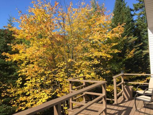 Bed & Breakfast Loft Nature Laurentides