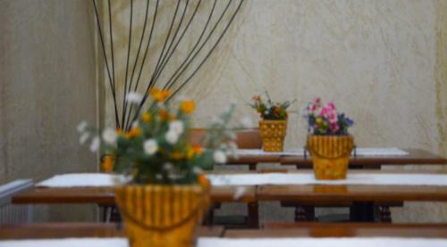 Hotel Dikran