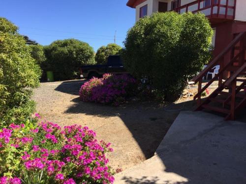 Caba�a Pichidangui
