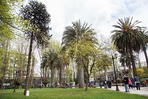 Apartamento Amoblado Del Sur
