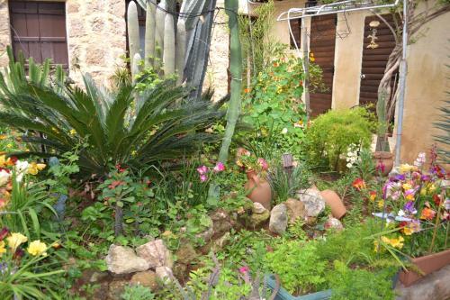 Bed & Breakfast Secret Garden Walled City