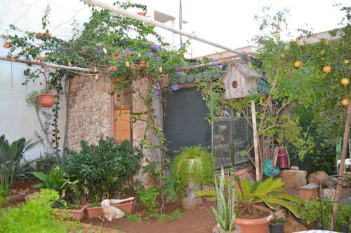 Bed & Breakfast Secret Garden Walled City