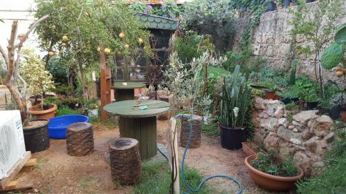 Bed & Breakfast Secret Garden Walled City