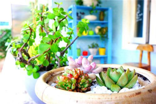 Shenzhen Xichong Story Hostel