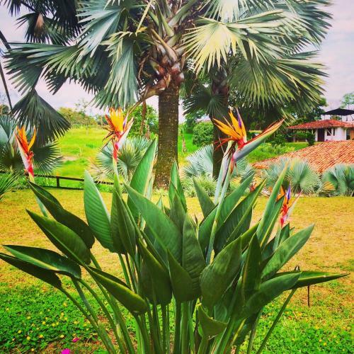 Agroturismo Casa De Campo Sao Paulo