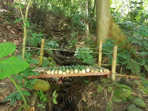Posada Duck House