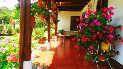 Albergue El Refugio