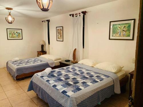 Hotel Cacao
