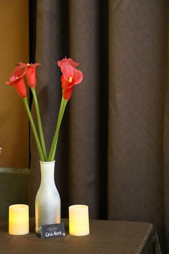 Hotel Casa Aura