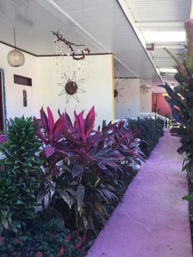 Hotel Cabinas Ole Caribe