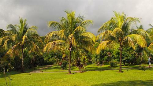 Apartamento Hacienda De Los Suenos