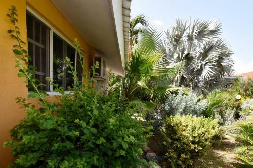 Seru Coral Apartment