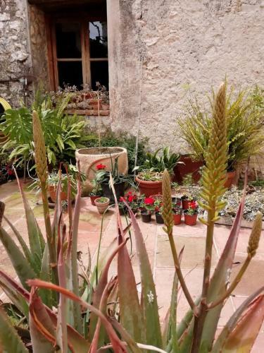 Agroturismo Mas D'en Ferran