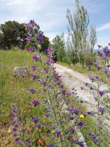 Agroturismo Mas D'en Ferran