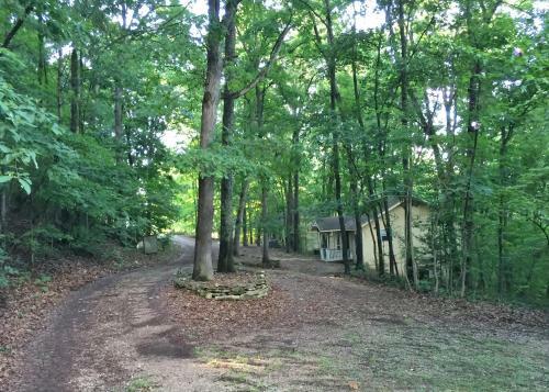 Agroturismo Ozark Spring Cabins