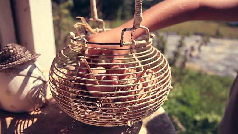 Bed & Breakfast Element Terre