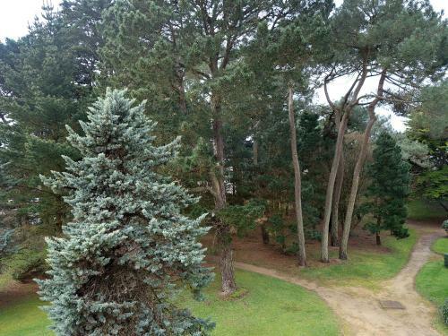 Apartment Carnac 4902