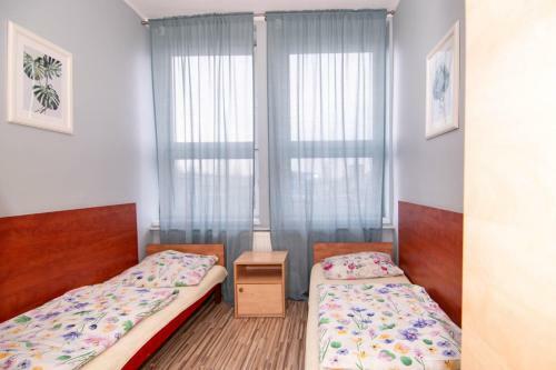 Albergue Noclegi Elan