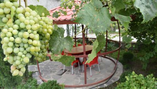 Hotel Ameli