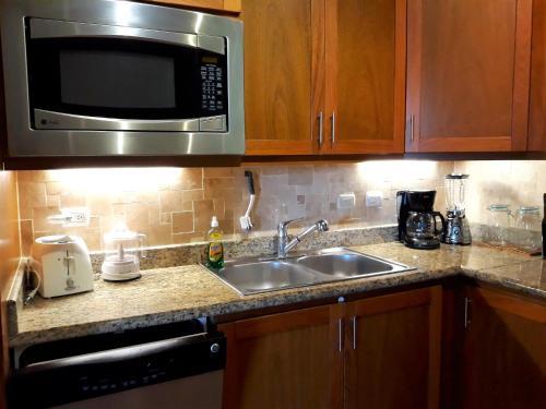 Hispaniola Beach Ocean View Apartment