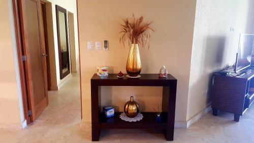 Hispaniola Beach Ocean View Apartment