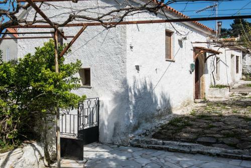 Traditional House