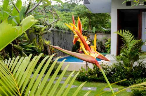 Hostal Beluran Serene Guesthouse