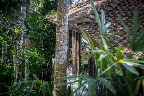 Hotel Alassari Plantation