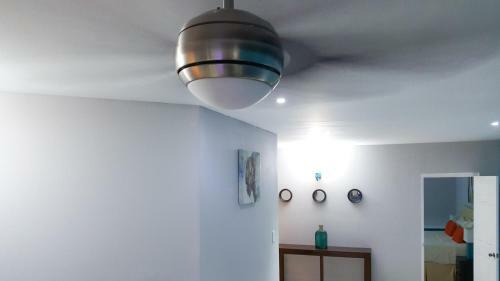 New Kingston Guest Apartments @ Donhead