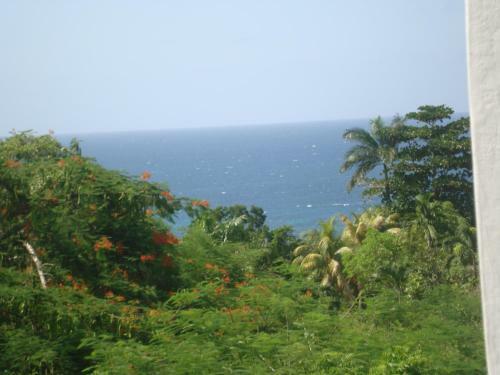 Bed & Breakfast Villa Diamond Guest House