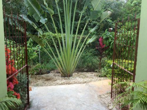 Hotel Castaways Villa