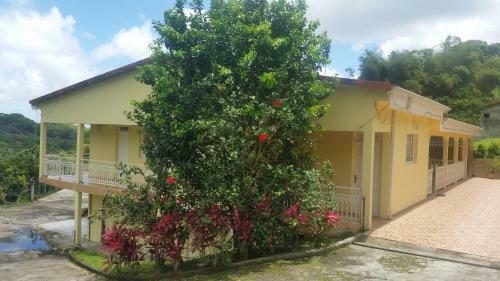 Bed & Breakfast L'oliveraie