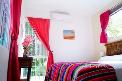 Casa De Colores