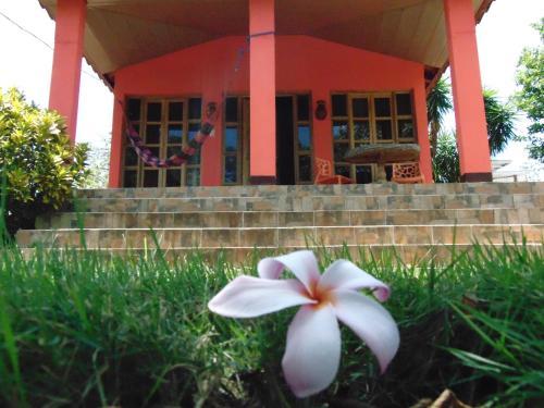 Hotel Congos Resort