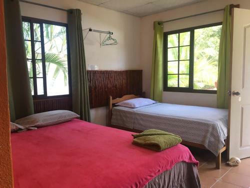 Hostal Rainforest Yasmin Hostel