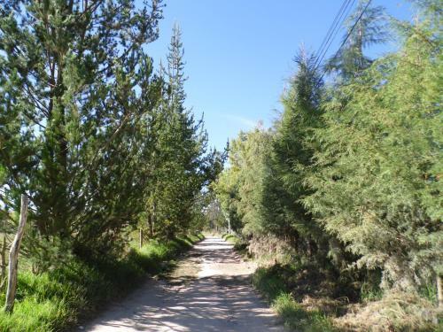 Agroturismo Los Jardines De Teresa