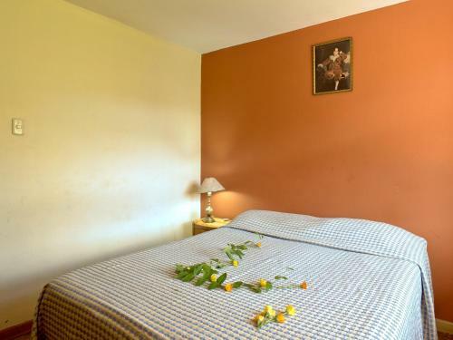 Diaz Del Mar Guest House Cusco