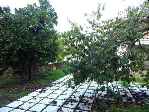 Hostal Casa De Nossa Senhora Da Concei��o
