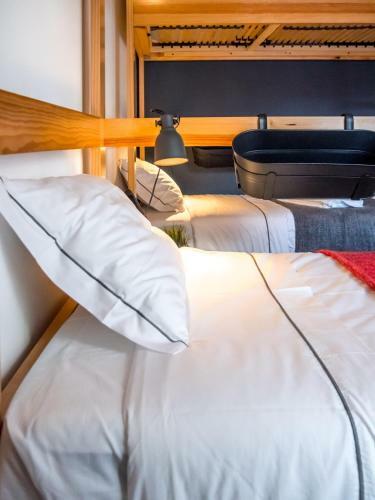 Hostel Procyon